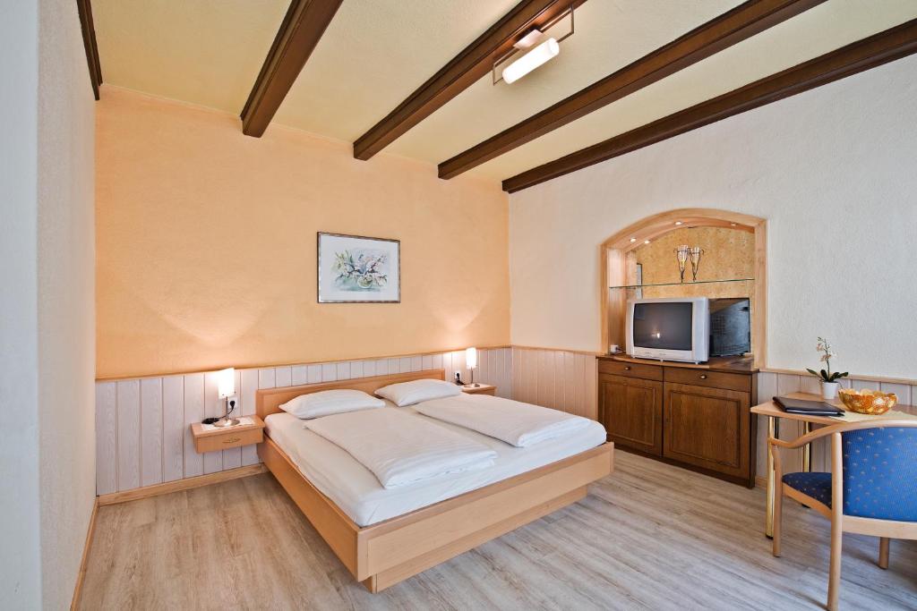 una camera con letto e televisore di Pension Martha a Grein