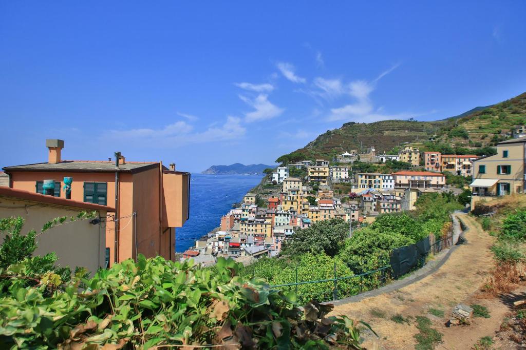 a view of a town on a hill next to the ocean at 5 Terre For You in Riomaggiore