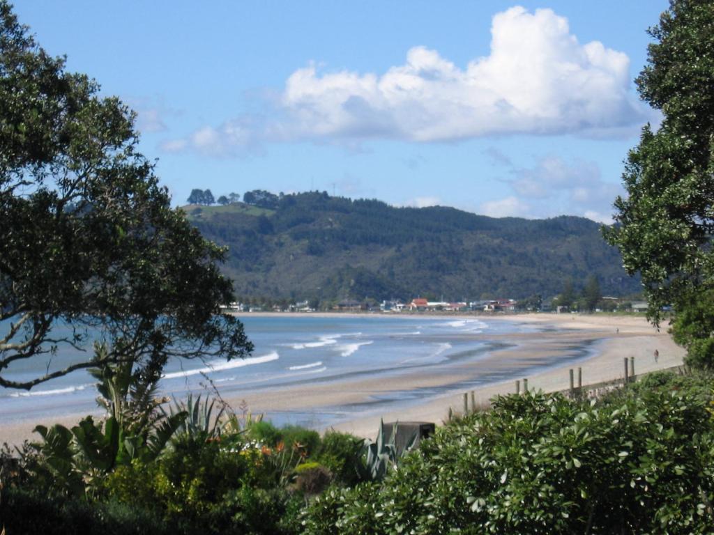 Beachfront Resort - Resim 27