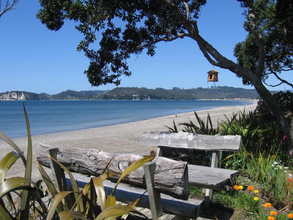 Beachfront Resort - Resim 21