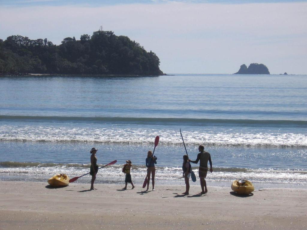 Beachfront Resort - Resim 24