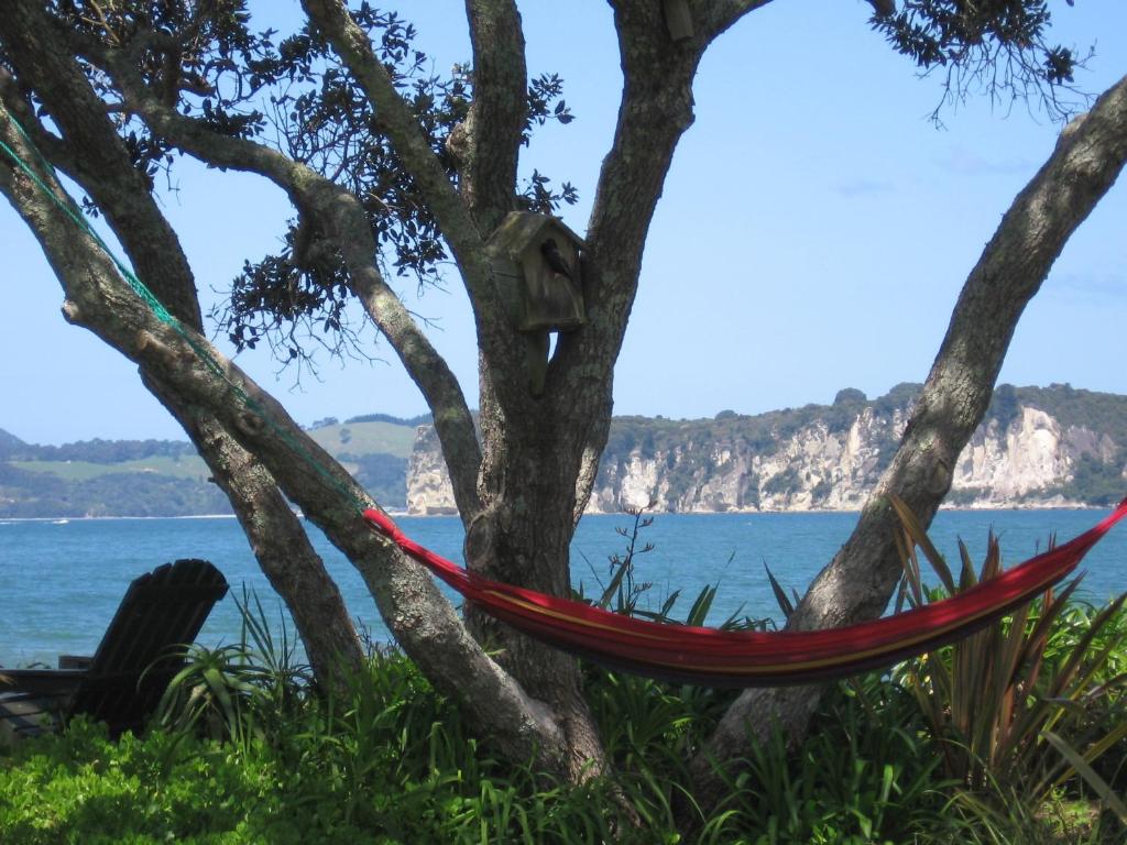 Beachfront Resort - Resim 23