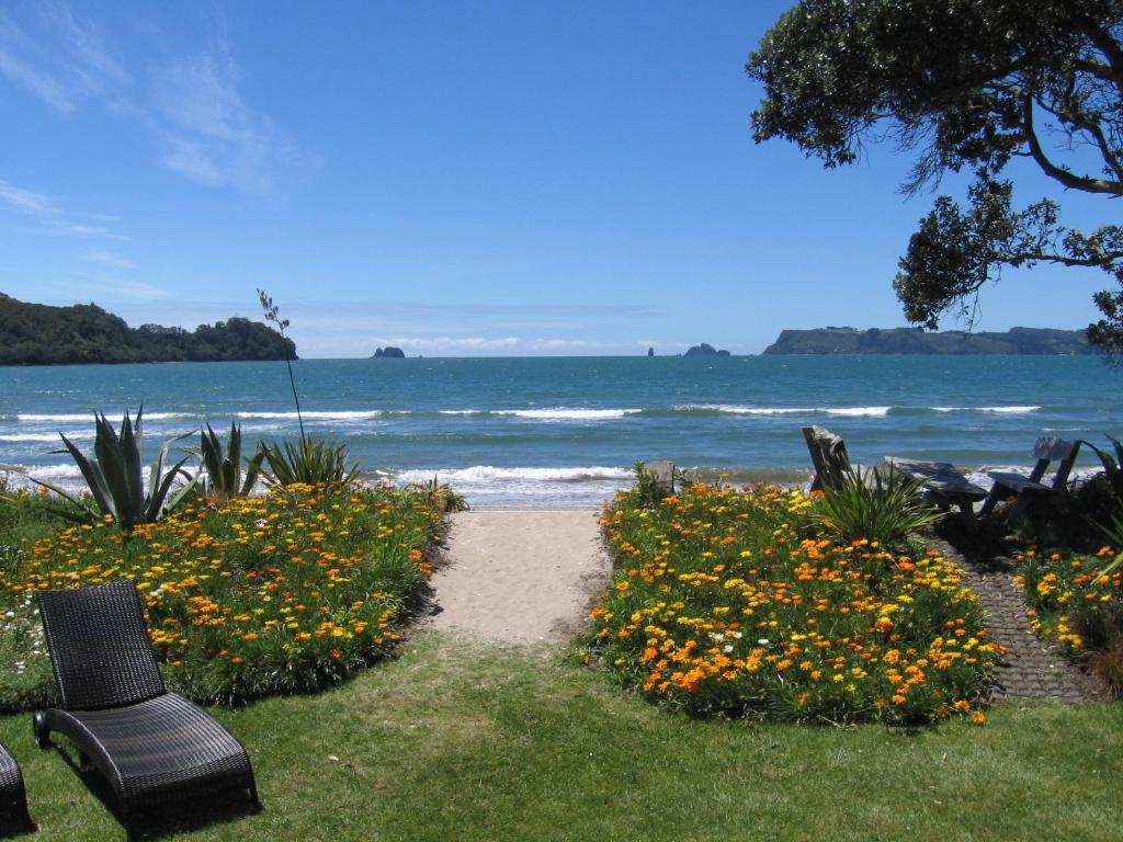 Beachfront Resort - Resim 31