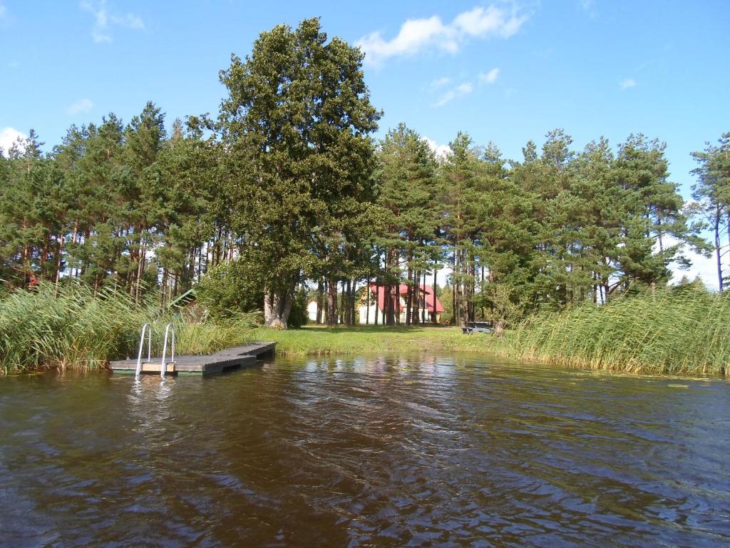 山林小屋周边自然景观
