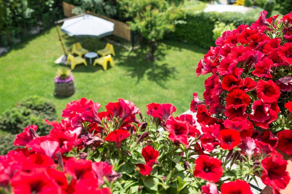 Vonkajšia záhrada v ubytovaní B&B Il Girasole
