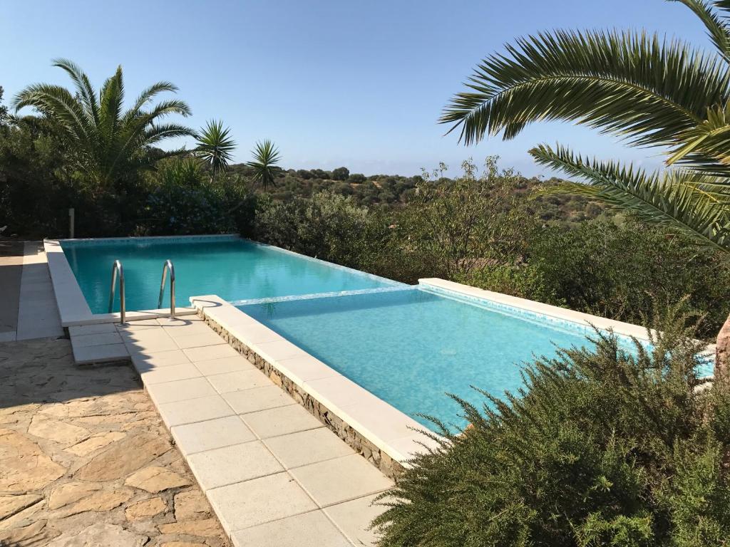een zwembad in het midden van een tuin met bomen bij villa Orchidee Sardegna in Capitana