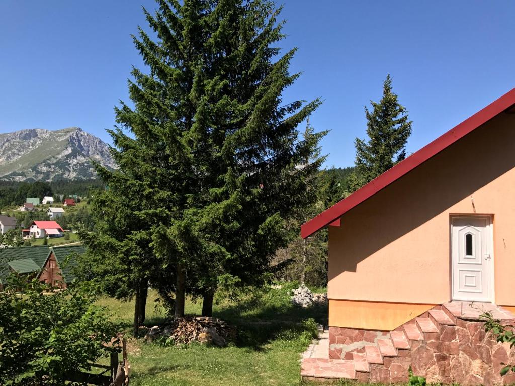 a pine tree next to a building and a house at Durmitor Apartments Holiday in Žabljak