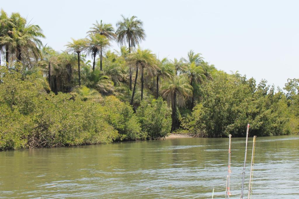 a boat on a river with palm trees in the background at Bolongs Passion in Cap Skirring