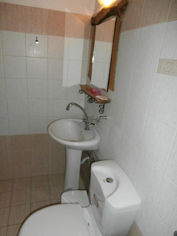 Koupelna v ubytování Pansion Limni