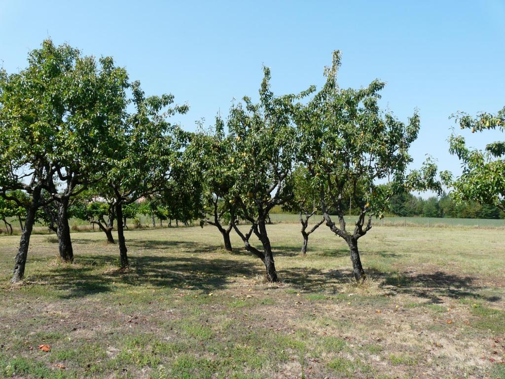 Kép B&B Villino Margherita szállásáról San Lazzaro di Savenában a galériában