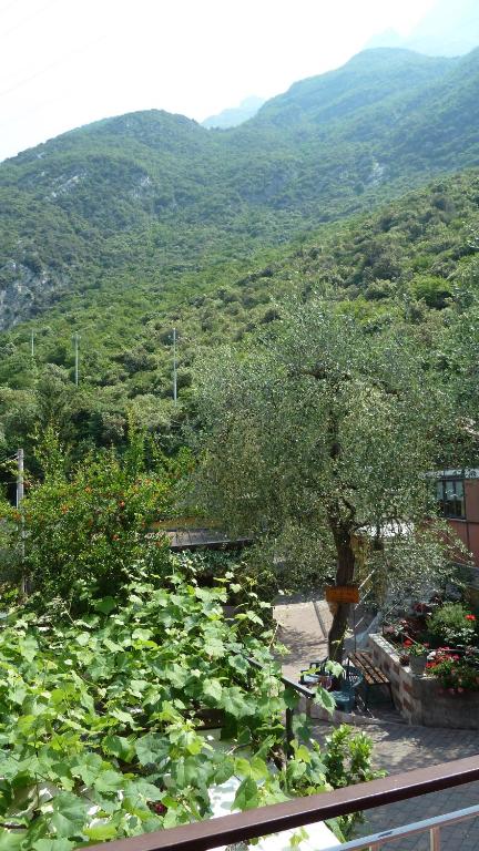 Camping Alpino - Nature Village - Apartment Mit Balkon