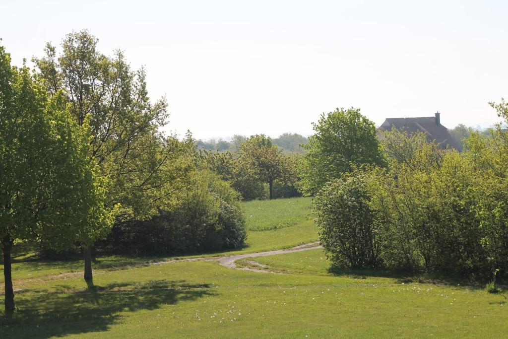 Příroda nedaleko apartmánu