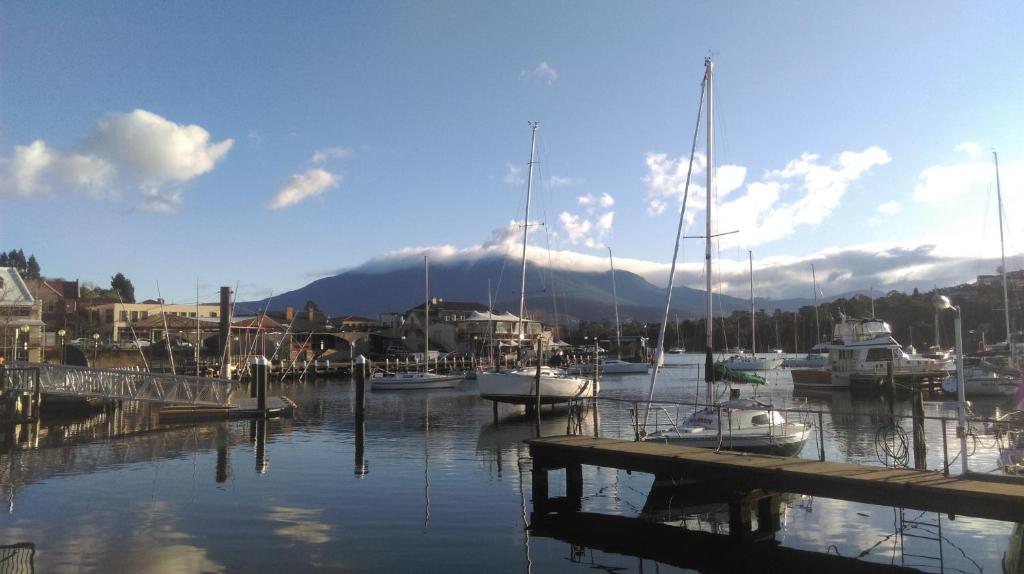 een groep boten aangemeerd in een jachthaven met een berg bij Natone in Hobart