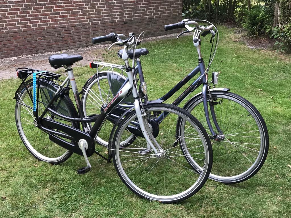 Jízda na kole v ubytování Vakantiehuis aan zee nebo okolí