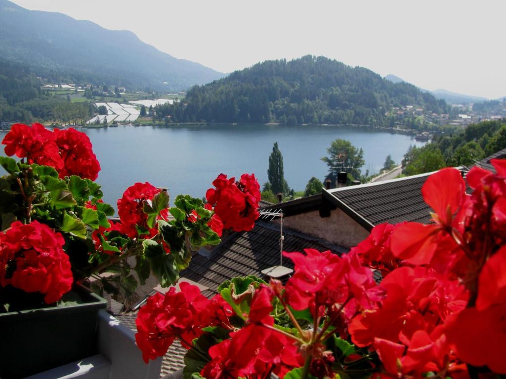uma vista para um lago com flores vermelhas em Appartamenti Residenza Dossalt em Baselga di Pinè