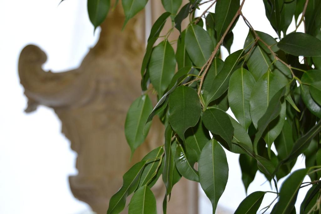 Fotografie z fotogalerie ubytování Hotel Due Leoni v destinaci Sacile