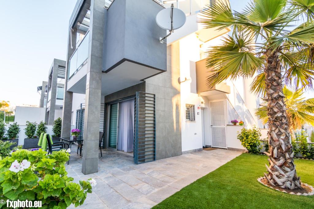 una palmera frente a un edificio con patio en ELuxuria Sunny Villa, en Torrevieja