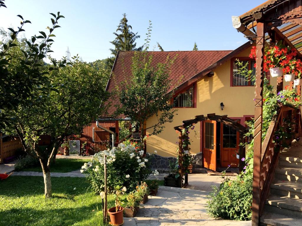 una casa con un camino que conduce al patio delantero en Pensiunea Gentiana, en Izvoru Mureşului