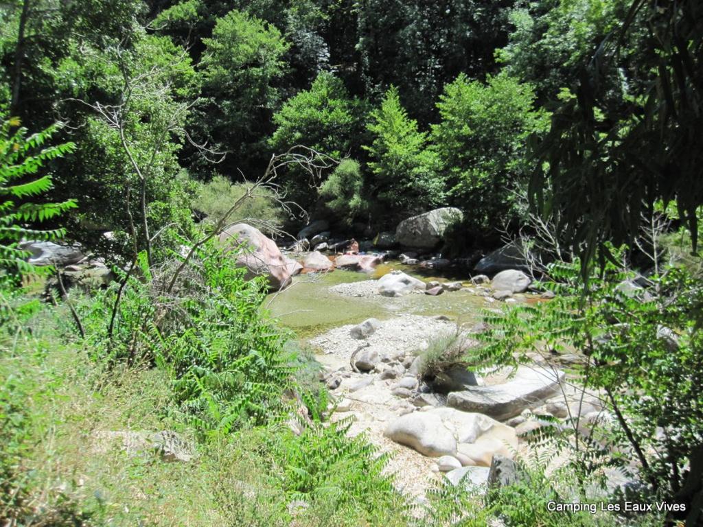 une rivière avec des rochers et des arbres dans une forêt dans l'établissement Camping Les Eaux Vives, à Vero