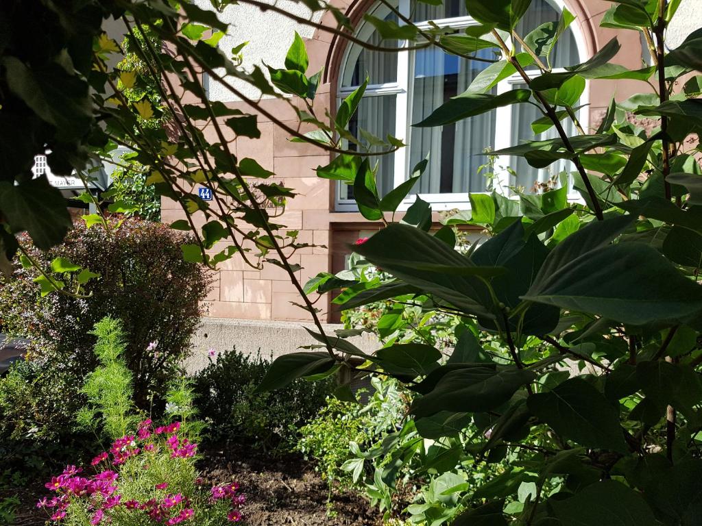 Art-Hotel Robert Mayer - Resim 45