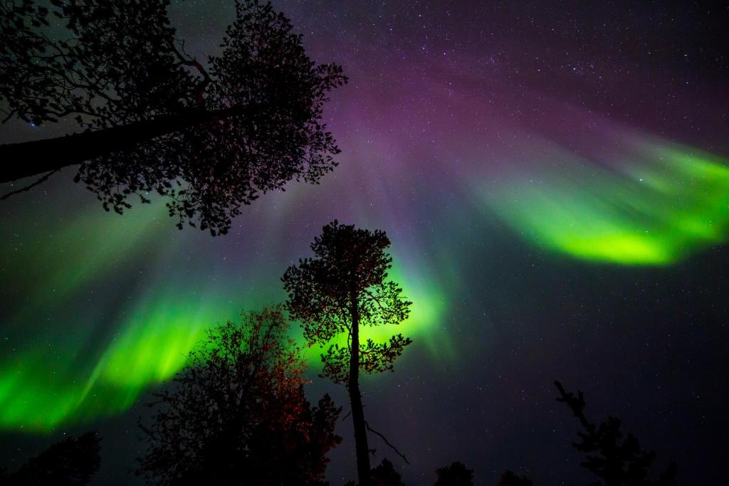Fotografie z fotogalerie ubytování Wilderness Hotel Inari & Igloos v destinaci Inari