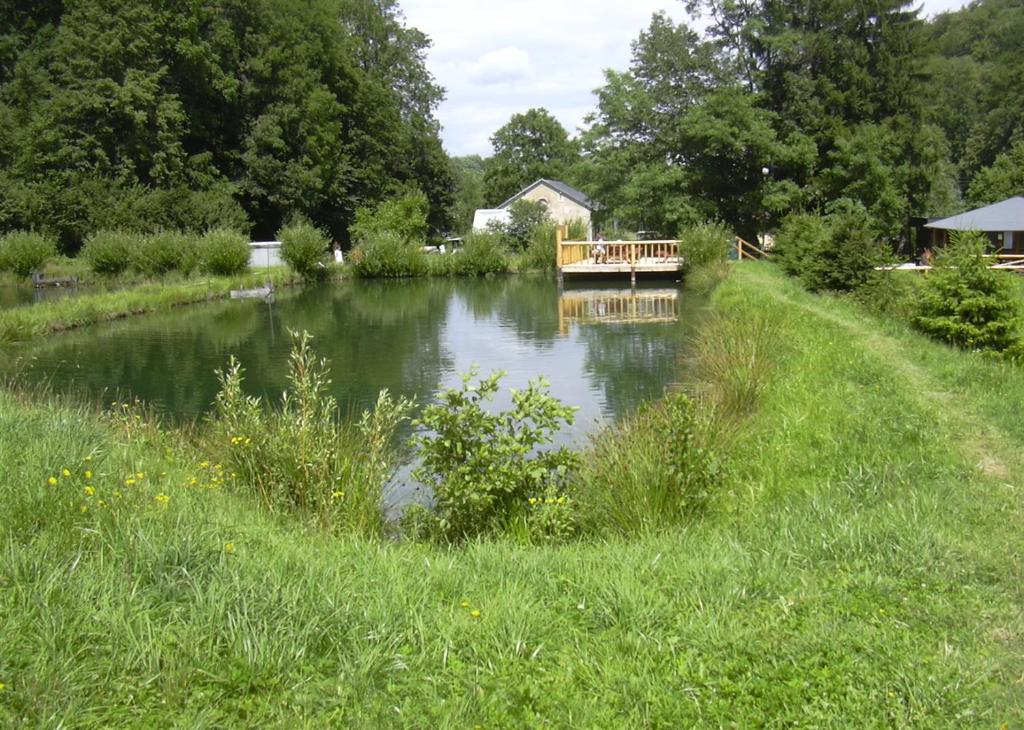 Příroda nedaleko apartmánu