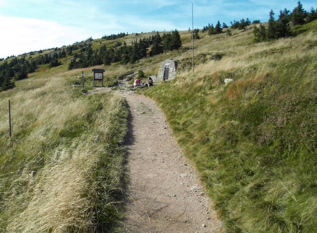 Příroda nedaleko apartmánu