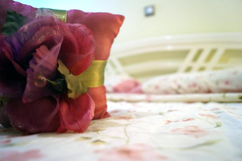 Villa d'Irene-near athens airport , 200 meters from the beach davis - 6