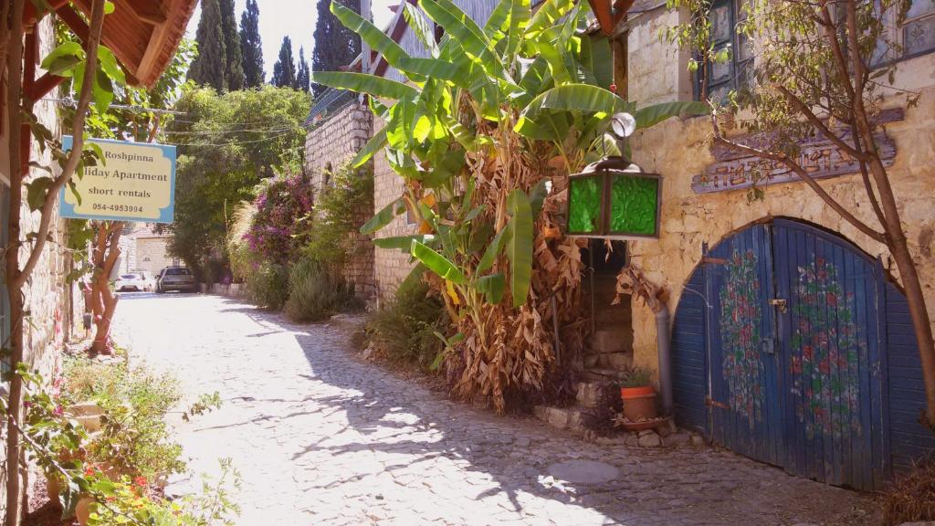 Zahrada ubytování פינה שקטה על הגובה Upper Quite corner in Old Rosh pinna
