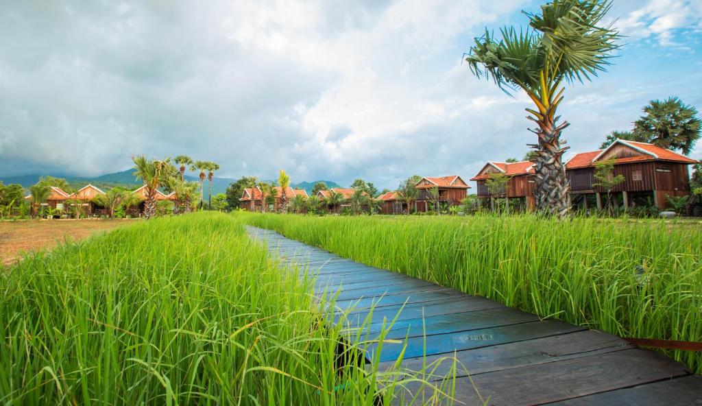 a walkway through a field of tall grass with houses at Kampot River Residence in Kampot