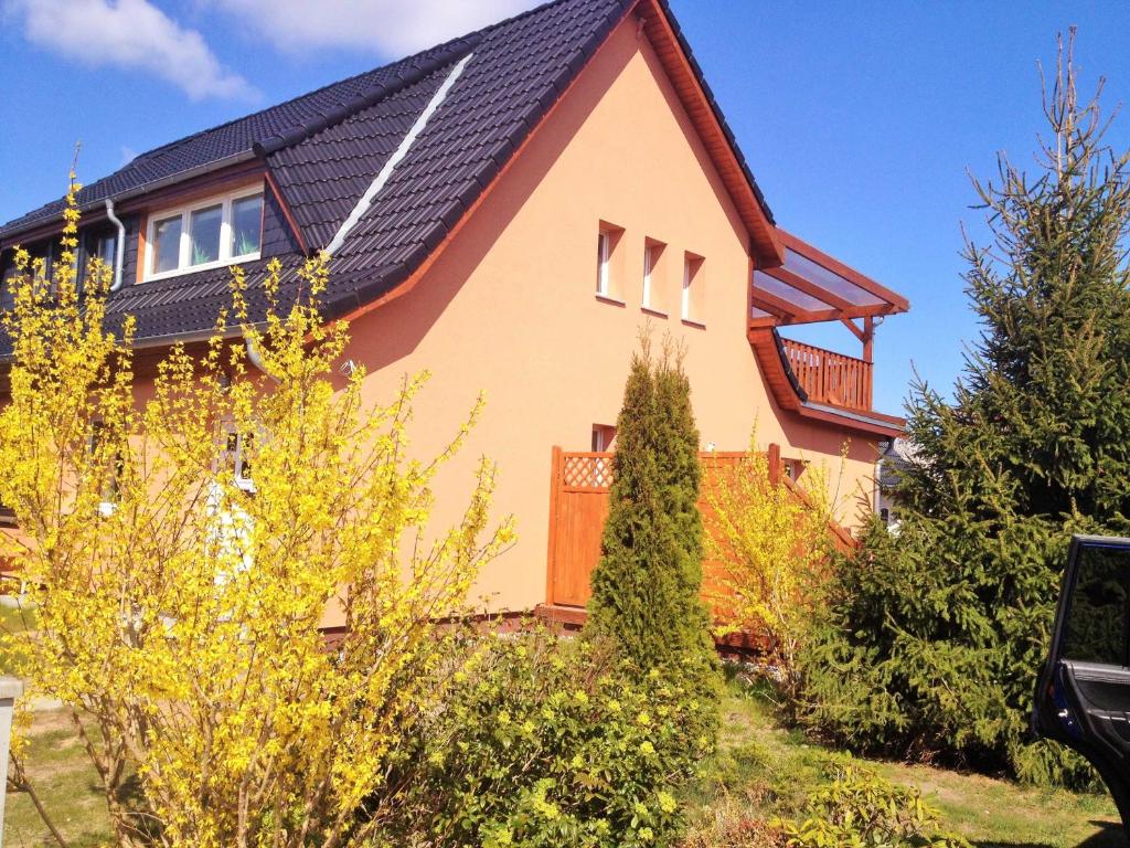 a house with a black roof at Ferienhaus Moewe in Hanshagen