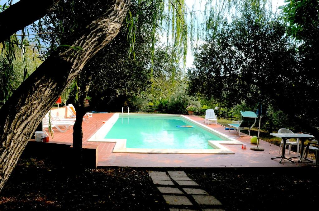 Giove的住宿－Hakuna Matata，一个带桌子和树的游泳池