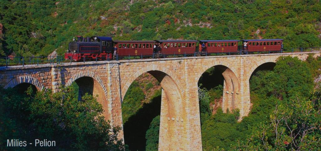 Príroda v okolí dovolenkového domu