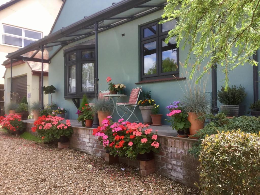 une maison avec des plantes en pot devant elle dans l'établissement Weston Cottage, à Poole