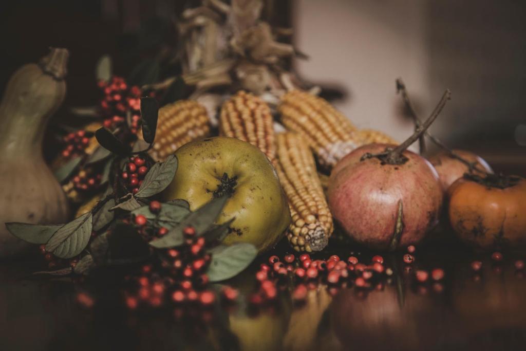 Fotografie z fotogalerie ubytování Agriturismo Zampugna v destinaci Montefollonico
