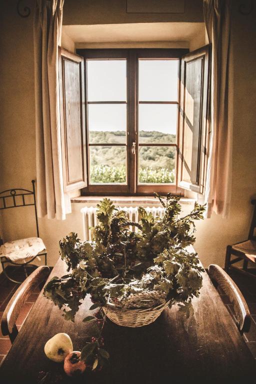 Fotografie z fotogalerie ubytování Agriturismo Zampugna v destinaci Montefollonico