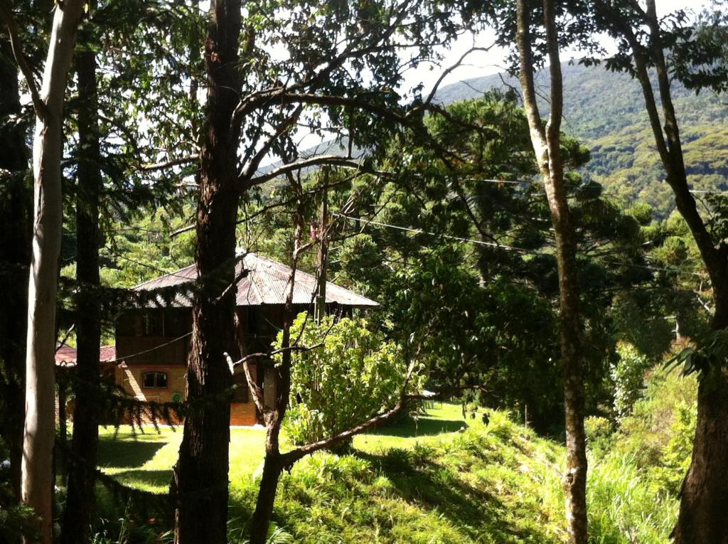  Casa da Árvore