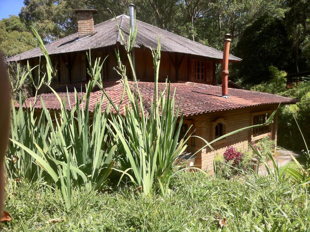  Casa da Árvore
