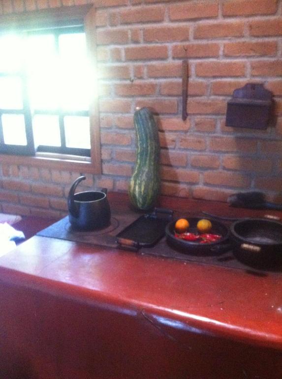  Casa da Árvore