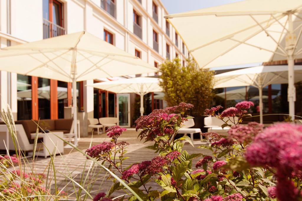Zahrada ubytování A-ROSA Sylt