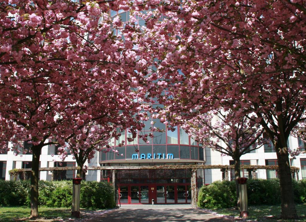 eine Gruppe von Bäumen mit rosa Blumen vor einem Gebäude in der Unterkunft Maritim Hotel Magdeburg in Magdeburg