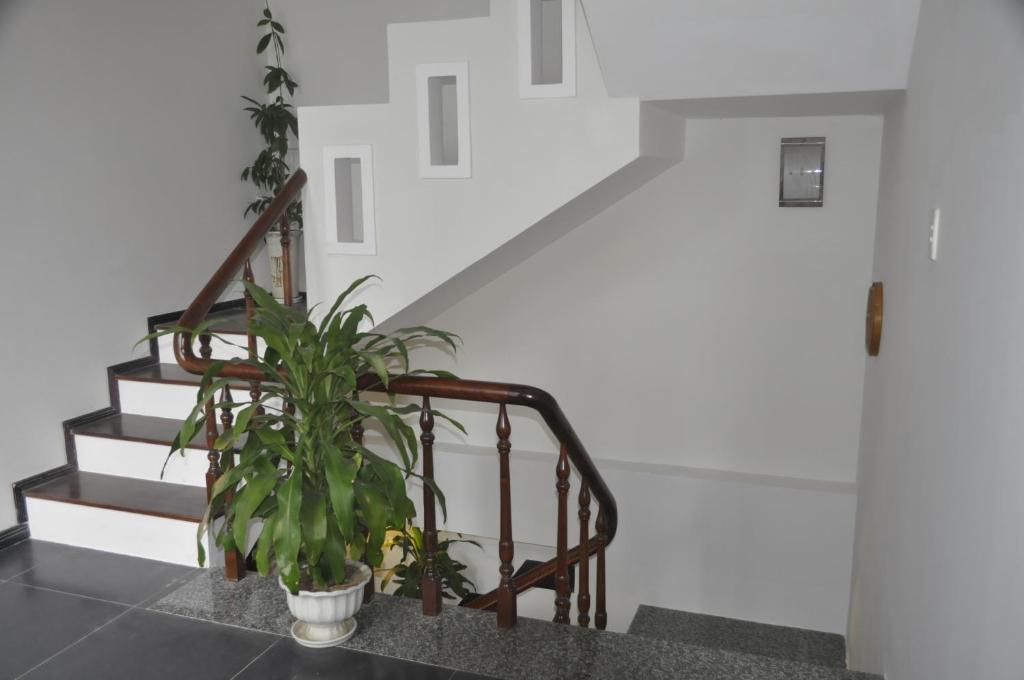 Fotografie z fotogalerie ubytování Green CoCo HomeStay v destinaci Hoi An