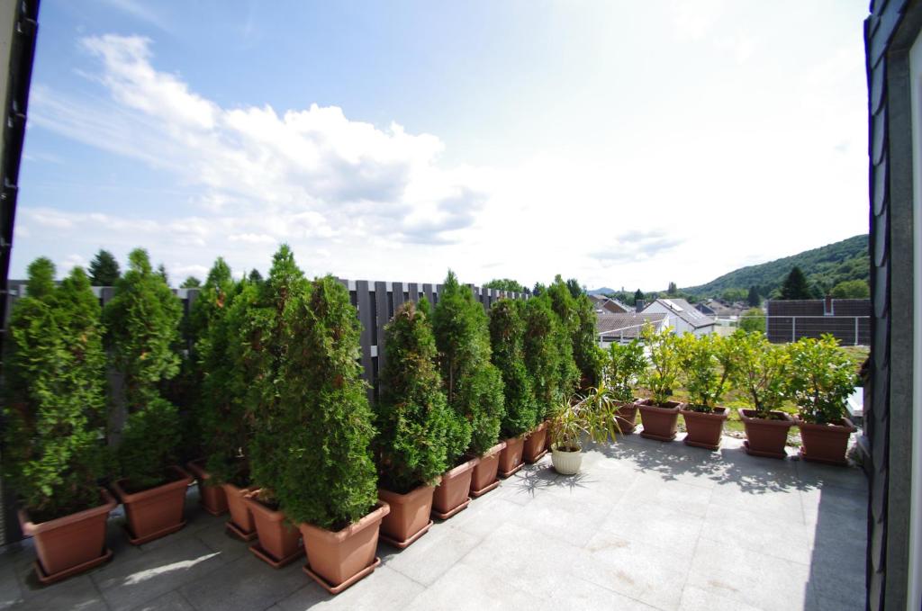 eine Reihe von Topfbäumen auf einem Balkon in der Unterkunft Luxury-Apartment Alexandra in Bonn