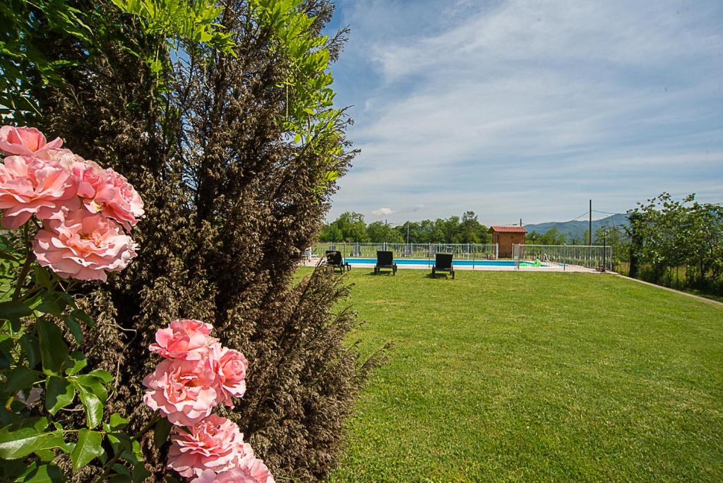 a bush with pink flowers next to a swimming pool at Agriturismo Il Musaccio in Barga