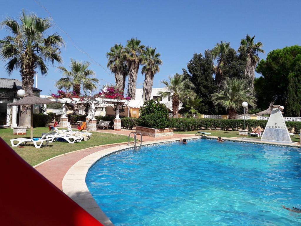 una gran piscina en un patio con palmeras en APCOSTAS - San Antonio, en Alcossebre