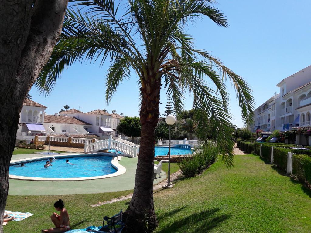 a palm tree and a swimming pool in a park at APCOSTAS - Complejo Al Andalus in Alcossebre