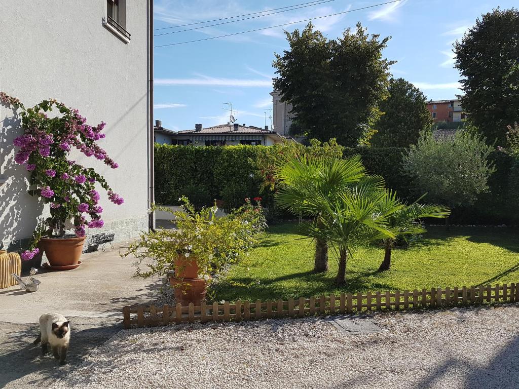 A garden outside A Casa Di Clementina