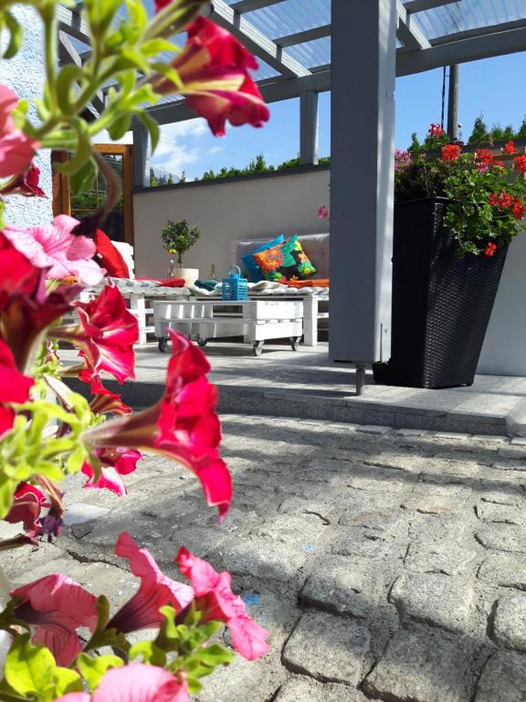 um grupo de flores cor-de-rosa num pátio em Haus Elisabeth em Napplach