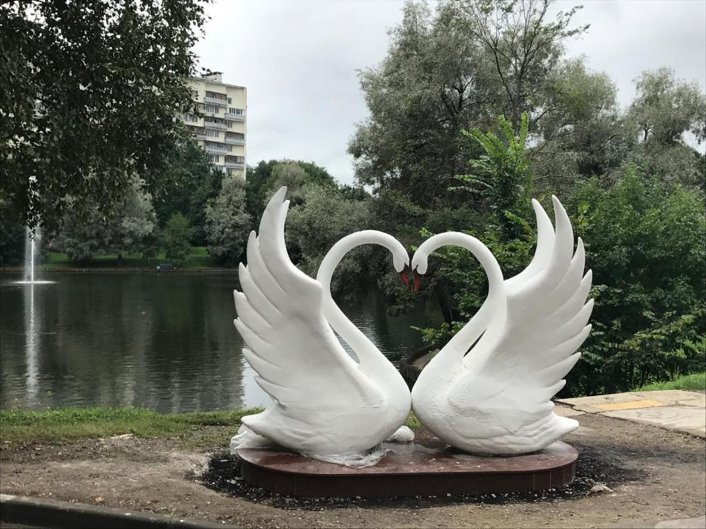 two white swans forming a heart in a park at Apartment Alexander in Zelenograd