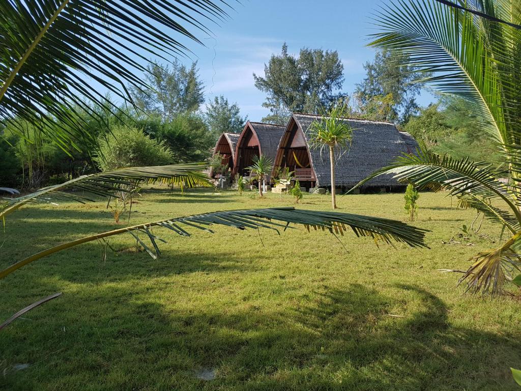 a house in a field with a palm tree at Sasak Island Bungalows in Gili Meno